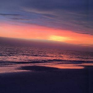 Meet your Posher, Lexi